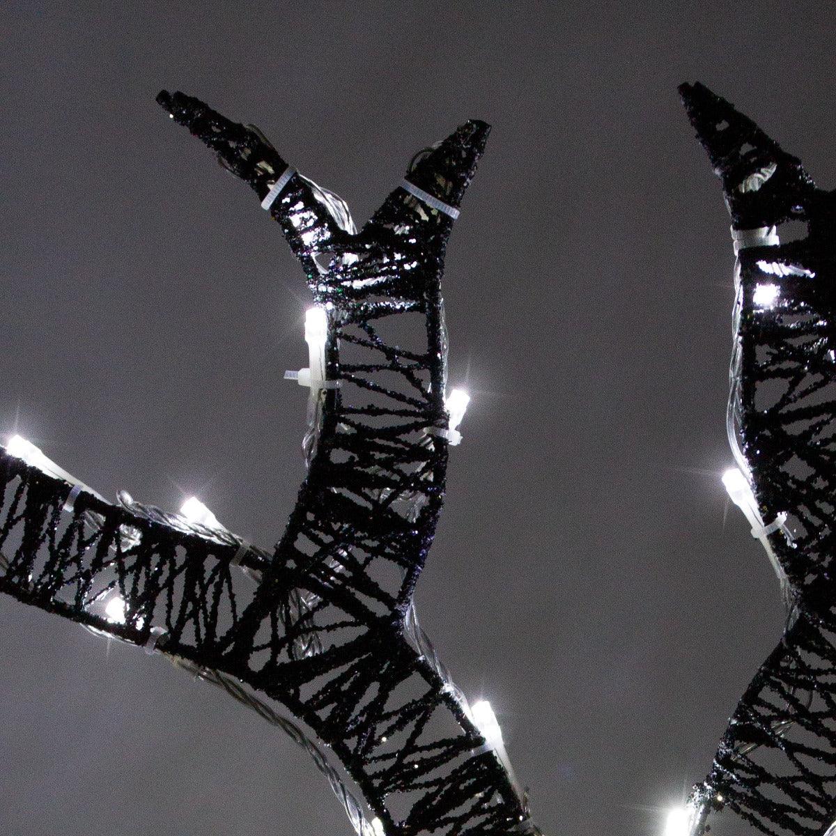 Light up Reindeer Gold Stag & Doe Set
