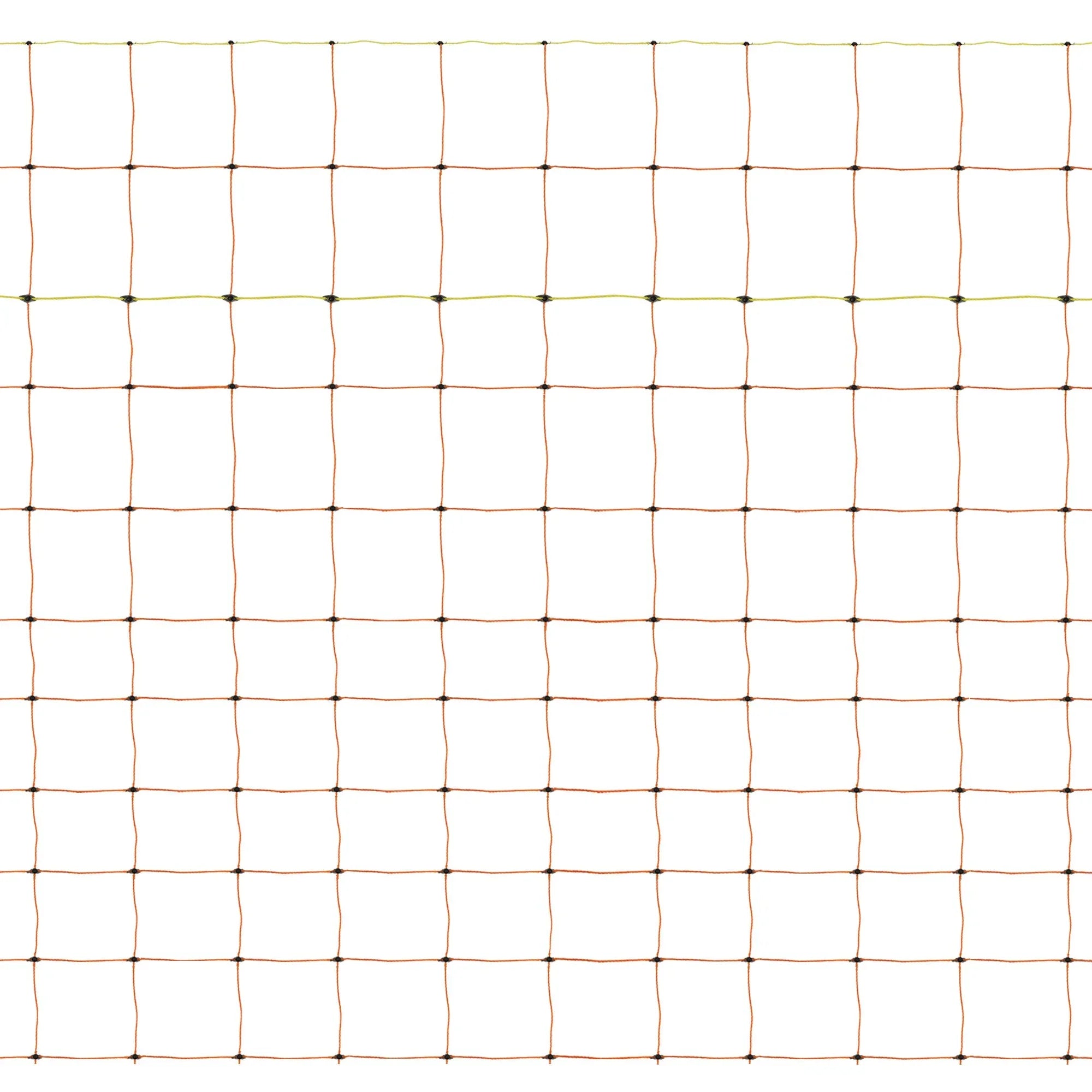 Electric Poultry Netting - 50m